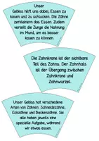 Vorschau - Stationenlernen - Legekreis - Zähne - Seite 2