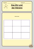Vorschau - Arbeitsblätter - Das Ohr und der Hörsinn - Seite 1