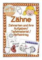 Vorschau - Arbeitsblätter - Zähne Zahnarten und Aufgaben - Deckblatt