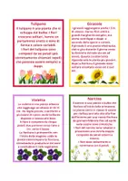 anteprima - Altro tipo di materiale - Primavera tra matematica e botanica - Pagina 2