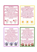 anteprima - Altro tipo di materiale - Primavera tra matematica e botanica - Pagina 3