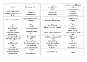 Vorschau - Arbeitsblätter - Domino Fotosynthese Biologie 7. Klasse - Seite 1