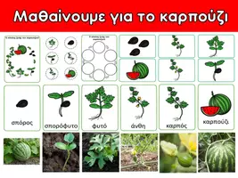 Προεπισκόπηση - Φύλλα εργασίας - Μαθαίνουμε για το καρπούζι - Εξώφυλλο