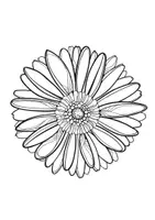 Vorschau - Arbeitsblätter - Fensterdeko Frühling, zum Ausmalen, Ausmalbild, Ausmalbilder, Kunst - Seite 1
