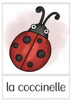 Aperçu - Cartes / Images - le printemps cartes d'images français (flash cards) - Page 2