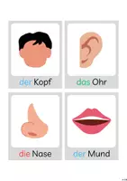 Vorschau - Bildkarten - Bildkarten Körperteile - Deckblatt