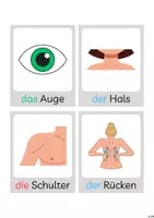 Vorschau - Bildkarten - Bildkarten Körperteile - Seite 1