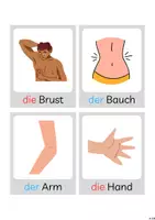 Vorschau - Bildkarten - Bildkarten Körperteile - Seite 2