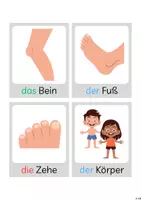 Vorschau - Bildkarten - Bildkarten Körperteile - Seite 3