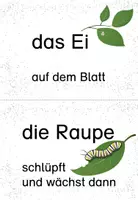 Vorschau - Arbeitsblätter - Laufdiktat Schmetterling Entwicklung Schleichdiktat - Seite 2