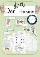 Vorschau - Unterrichtsreihen - Der Hörsinn - Deckblatt