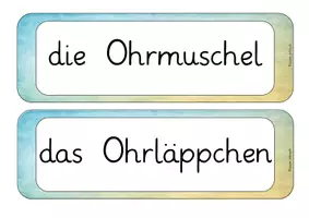 Vorschau - Unterrichtsreihen - Der Hörsinn - Seite 3
