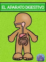Vista previa - Unidades / Secuencias / Situaciones de Aprendizaje - Nuestro cuerpo - página 2