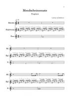 Vorschau - Anderer Materialtyp - Mondscheinsonate, Fragment für Glockenspiele - Seite 2