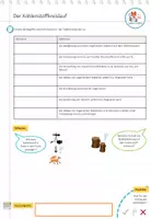 Vorschau - Arbeitsblätter - Kohlenstoffkreislauf - Arbeitsblatt - Seite 3