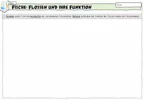 Vorschau - Arbeitsblätter - Arbeitsblatt: Flossen und ihre Funktionen (Fische) - Seite 1