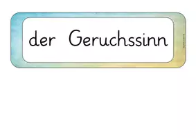 Vorschau - Unterrichtsreihen - Der Geruchssinn - Seite 2