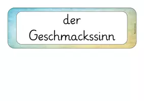 Vorschau - Unterrichtsreihen - Die Sinne - Großes Materialpaket - Seite 3
