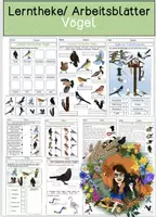 Vorschau - Arbeitsblätter - Vögel - differenzierte Arbeitsblätter/Lerntheke - Deckblatt