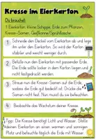 Vorschau - Poster - Kresse ziehen im Eierkarton | Sachunterricht Klasse 1-2 - Seite 3