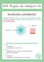 Vorschau - Stundenentwürfe - NuT 8 Halogene Stundenentwurf Merkhefteintrag - Seite 3