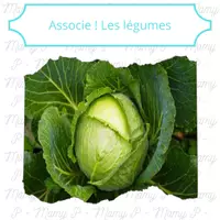 Aperçu - Apprentissages en autonomie - Associe ! Les légumes - Page 3