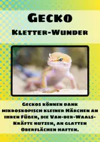 Vorschau - Merkblätter - 20 Lernkarten von Tieren und ihre Fähigkeiten - Seite 3