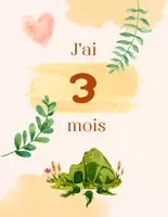 Aperçu - Préparation de séance / Séance complète - Posters bébé étapes 12 mois Aquarelles +12 fiches d'activités - Page 2