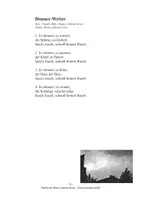Vorschau - Arbeitsblätter - Donner-Wetter - Lied - R.J. Gross / Claudia Höly - Seite 2