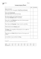 Vorschau - Spiele - Lesespaziergang zur Biene - Seite 3