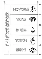 Vista previa - Hojas de trabajo - HUMAN BODY LAPBOOK PACK - 8 SCIENCE LAPBOOKS - página 3