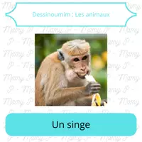 Aperçu - Jeux - Dessinoumim _ Les animaux - Page de couverture