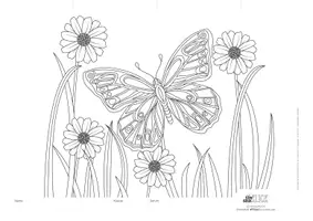 Vorschau - Mal- und Bastelvorlagen - *KUNST* Ausmalbild für den Frühling: Schmetterling differenziert - Seite 1
