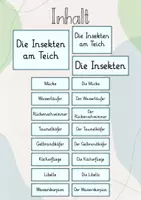 Vorschau - Präsentationen/Tafelbilder - Tafelbild: Insekten am Teich/ See/ Weiher - Seite 1