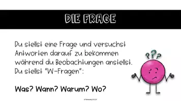 Vorschau - Präsentationen/Tafelbilder - Wissenschaftliches Forschen - Seite 3