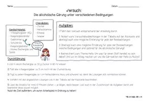Vorschau - Arbeitsblätter - Einfacher Schülerversuch zur alkoholischen Gärung - Seite 2