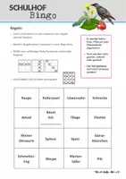 Vorschau - Spiele - Schulhof-Bingo - Artenkenntnis, Ökologie, Vertretungsstunde - Seite 2