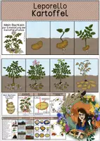 Vorschau - Mal- und Bastelvorlagen - Leporello - Die Kartoffel - Deckblatt