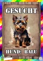 Vorschau - Arbeitsblätter - Interaktives Lesen: Der Hund Balu ist entlaufen (D-A-CH) - Seite 1
