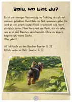 Vorschau - Arbeitsblätter - Interaktives Lesen: Der Hund Balu ist entlaufen (D-A-CH) - Seite 3