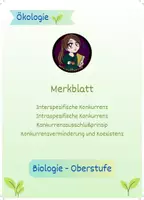 Vorschau - Arbeitsblätter - Merkblatt_Konkurrenz für die Obrestufe - Deckblatt