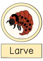 Vorschau - Arbeitsblätter - Sparpaket - Bauernhof - (Tiere, Getreide, Kartoffel, Maschinen) - Seite 3