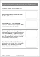 Vorschau - Arbeitsblätter - Plastikmüll im Ozean - Seite 3