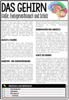 Vorschau - Unterrichtsreihen - Das Nervensystem - Der Mensch | Infomaterial & Arbeitsblätter - Gehirn - Gedächtnis - Lernen etc. - Seite 3