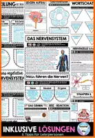 Vorschau - Unterrichtsreihen - Nervensystem Der Mensch - Interaktives Forscherheft | Gehirn - Neuronen - ZNS - Vegetatives Nervensystem - Sympathikus - Parasympathikus - Synapsen etc. - Seite 3