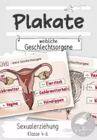 Vorschau - Poster - Plakate: Vagina-Vulva | weibliche Geschlechtsorgane | Sexualerziehung - Deckblatt