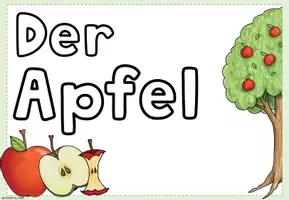 Vorschau - Präsentationen/Tafelbilder - Stundentransparenz Apfel | Sachunterricht Klasse 1-3 - Seite 3