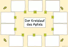 Vorschau - Präsentationen/Tafelbilder - Apfel Lebenskreislauf | Sachunterricht Klasse 1-3 - Seite 3