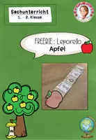 Vorschau - Mal- und Bastelvorlagen - FREEBIE Apfel Leporello | Sachunterricht Klasse 1-2 - Deckblatt