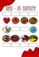 Vorschau - Arbeitsblätter - Colors and where to find them...Red! - Seite 2